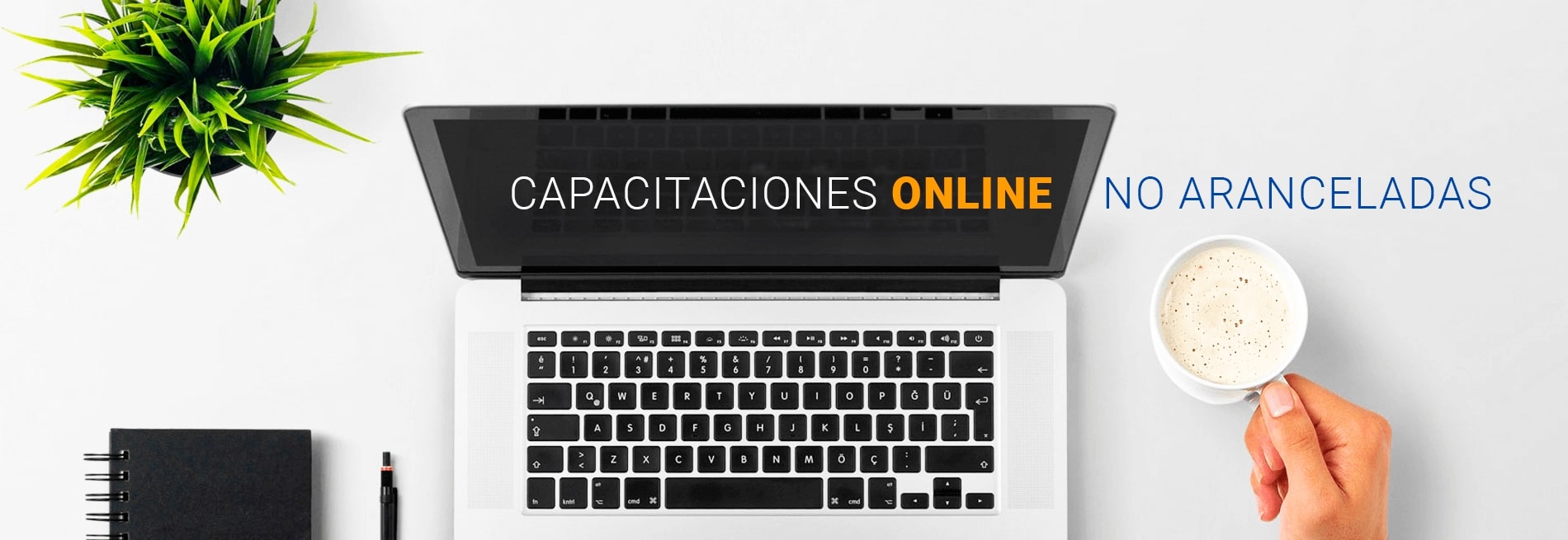capacitaciones online